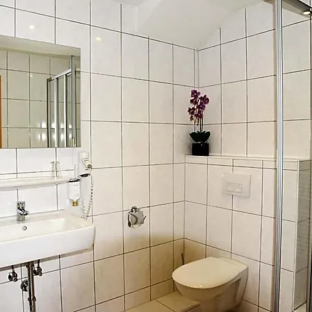 Garni-hotel Zur Krone 3*
