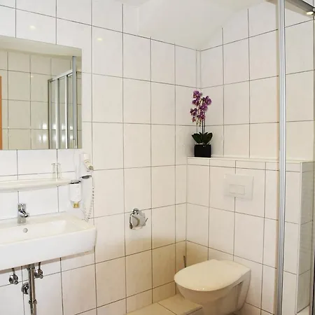 Hotel Garni-hotel Zur Krone 3*
