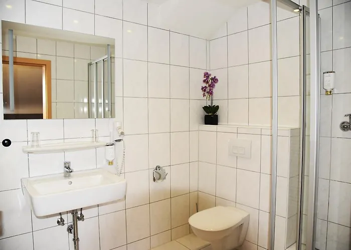 Hotel Garni-hotel Zur Krone 3*